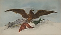 Schegge di sole nel buio_90